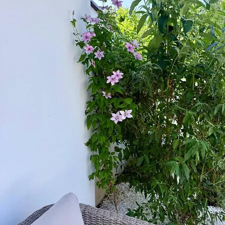 Willa Courtyard Villa, *