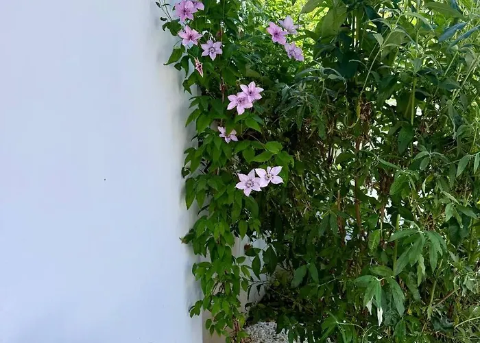 Willa Courtyard Villa, *